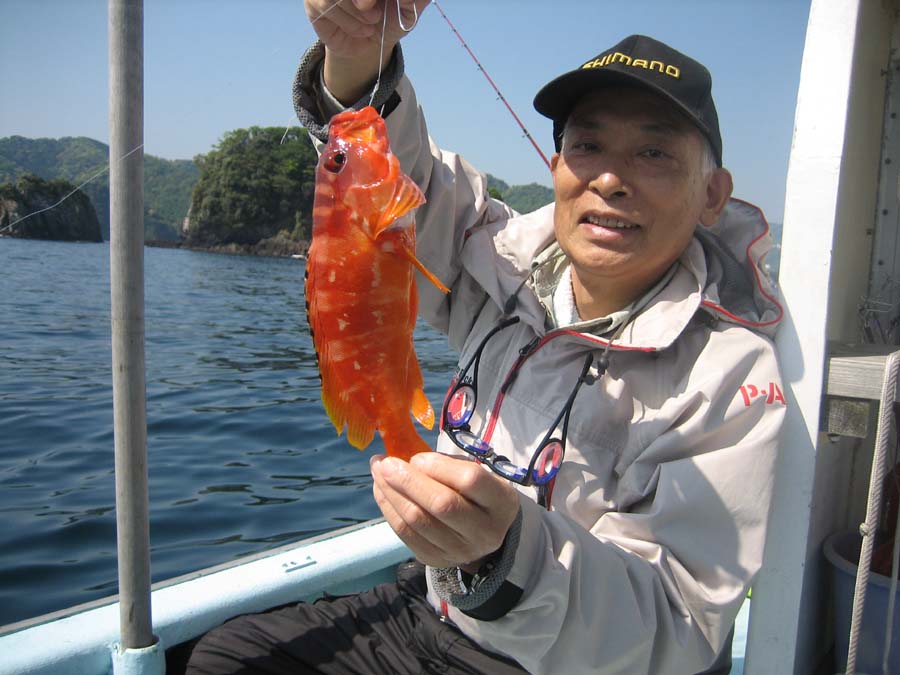 アカハタ　テンヤ釣りは初めてです。