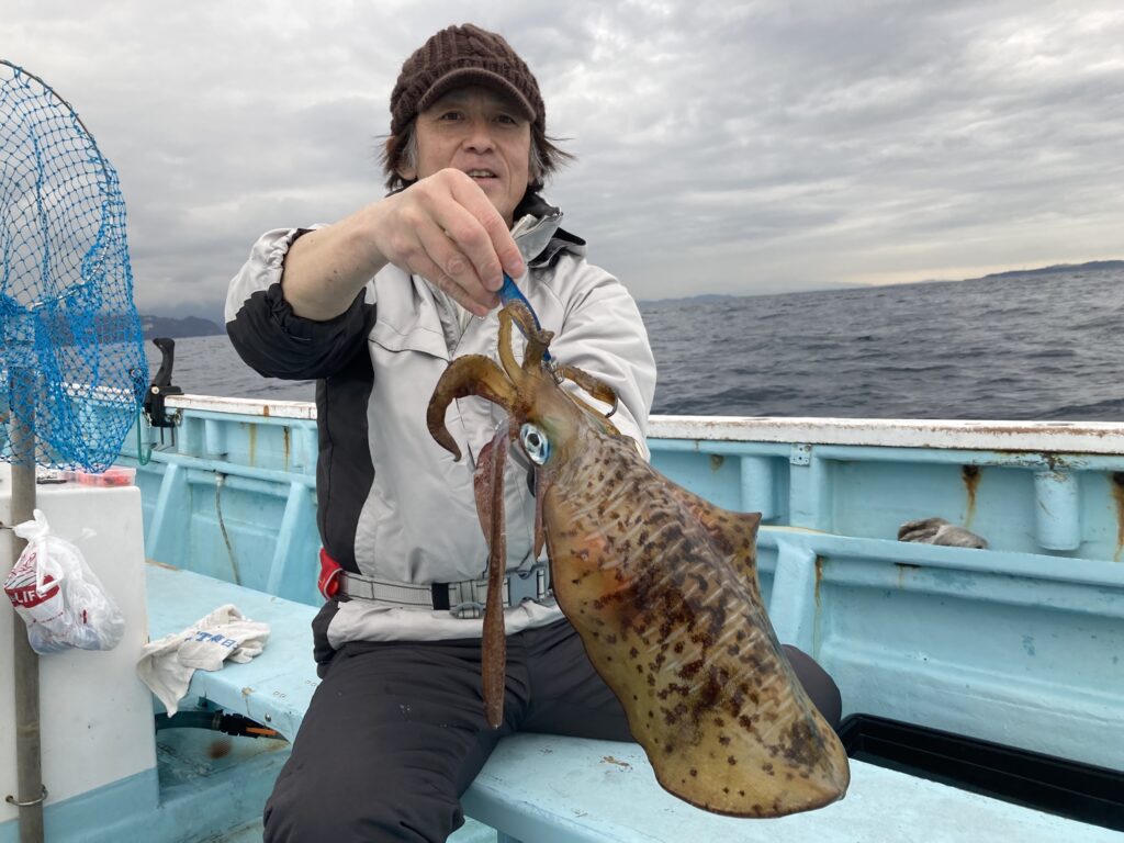 アオリイカ　アオリイカティップラン　ティップランエギング　ティップラン