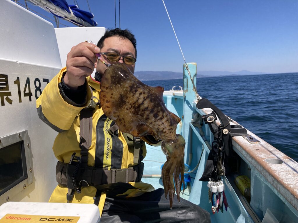 アオリイカ　アオリイカティップラン　ティップランエギング　ティップラン　アオリイカTR　ティップエギング