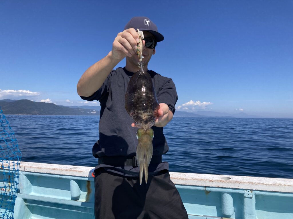 アオリイカ　アオリイカティップラン　ティップランエギング　ティップラン　アオリイカTR