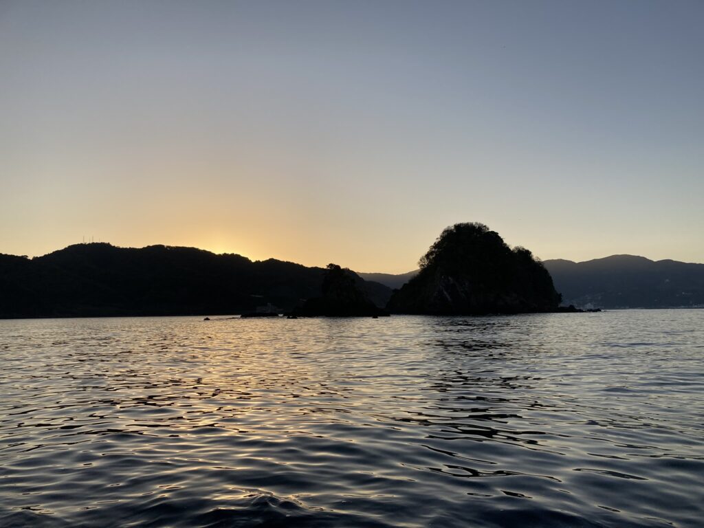 アオリイカ アオリイカティップラン ティップランエギング ティップラン アオリイカTR