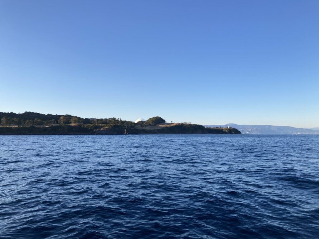 アオリイカ　アオリイカティップラン　ティップランエギング　ティップラン　アオリイカTR