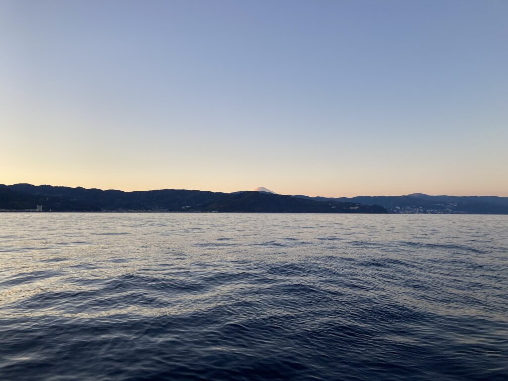 アオリイカ　アオリイカティップラン　ティップランエギング　ティップラン　アオリイカTR