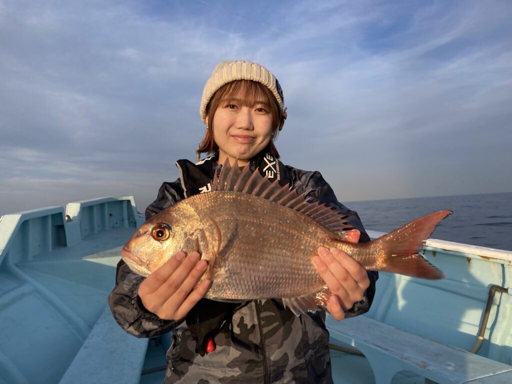 マダイ　イサキ　マダイ五目