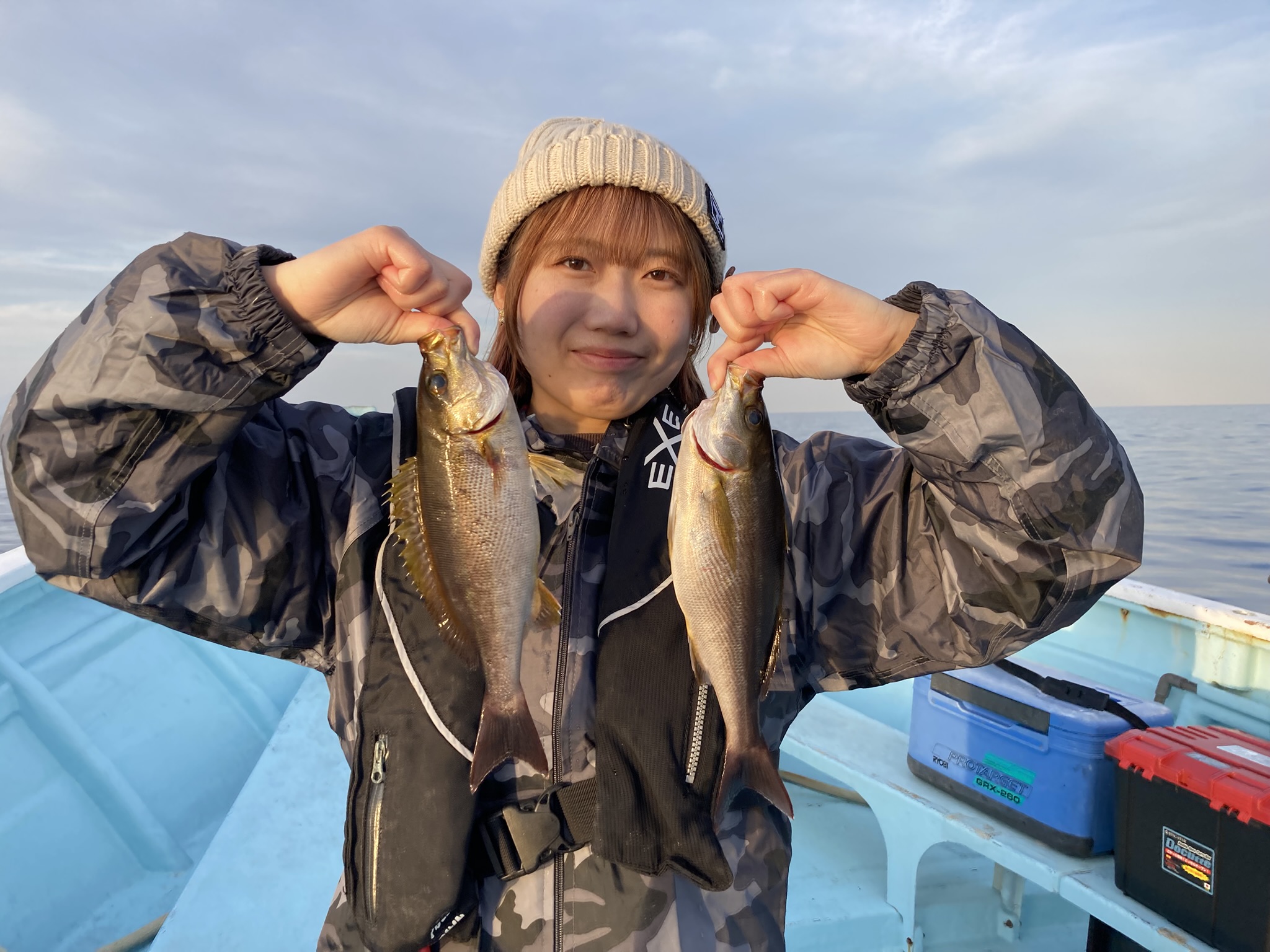 マダイ　イサキ　マダイ五目