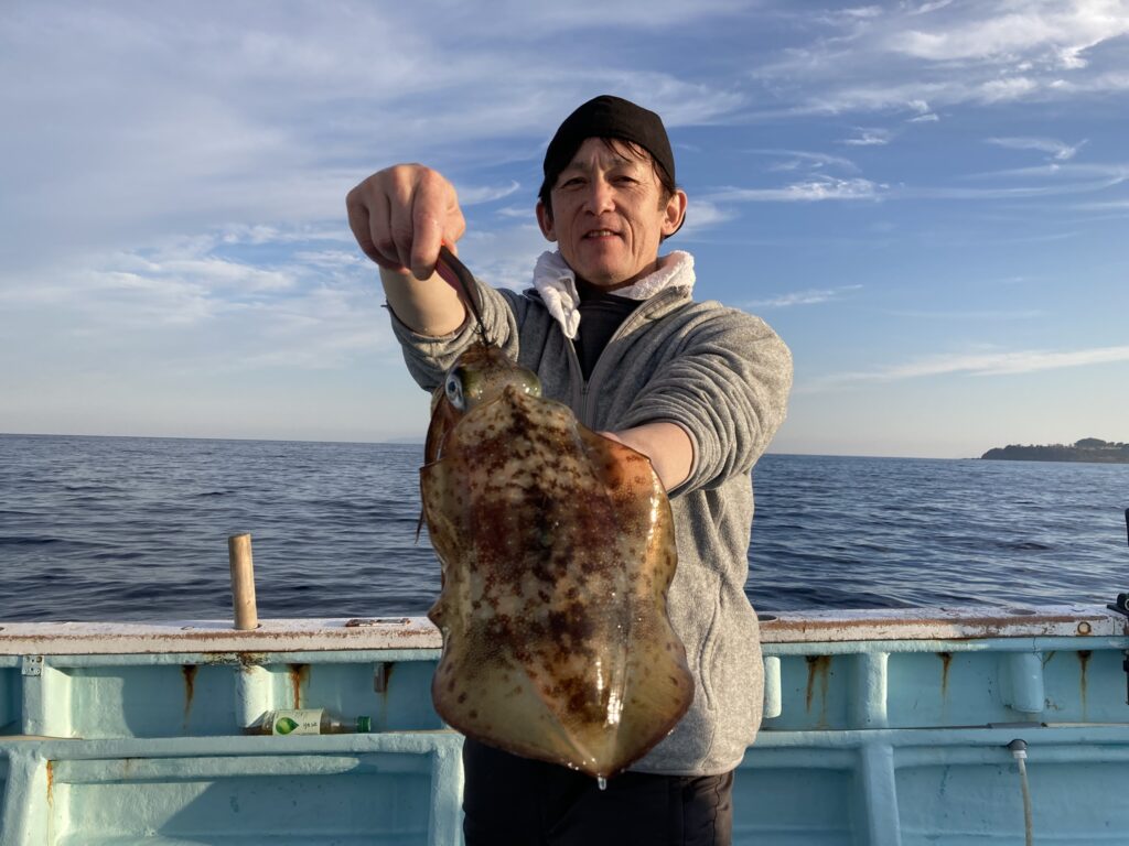 アオリイカ アオリイカティップラン ティップランエギング ティップラン アオリイカTR