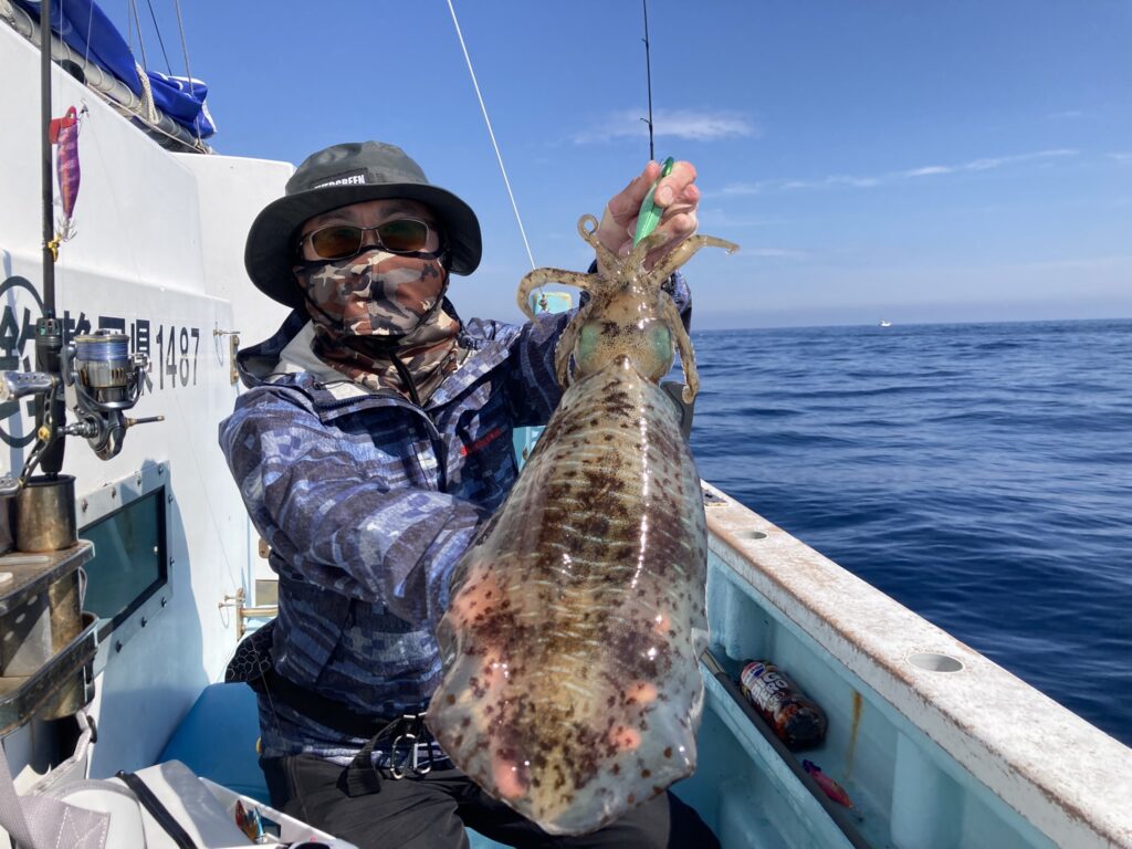 アオリイカ　アオリイカティップラン　ティップランエギング　ティップラン　アオリイカTR